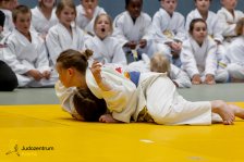 27.04.2025 Wachau JUDO Kids Cup